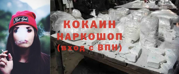 apvp Бородино