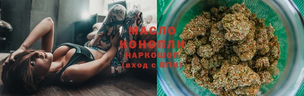 apvp Бородино